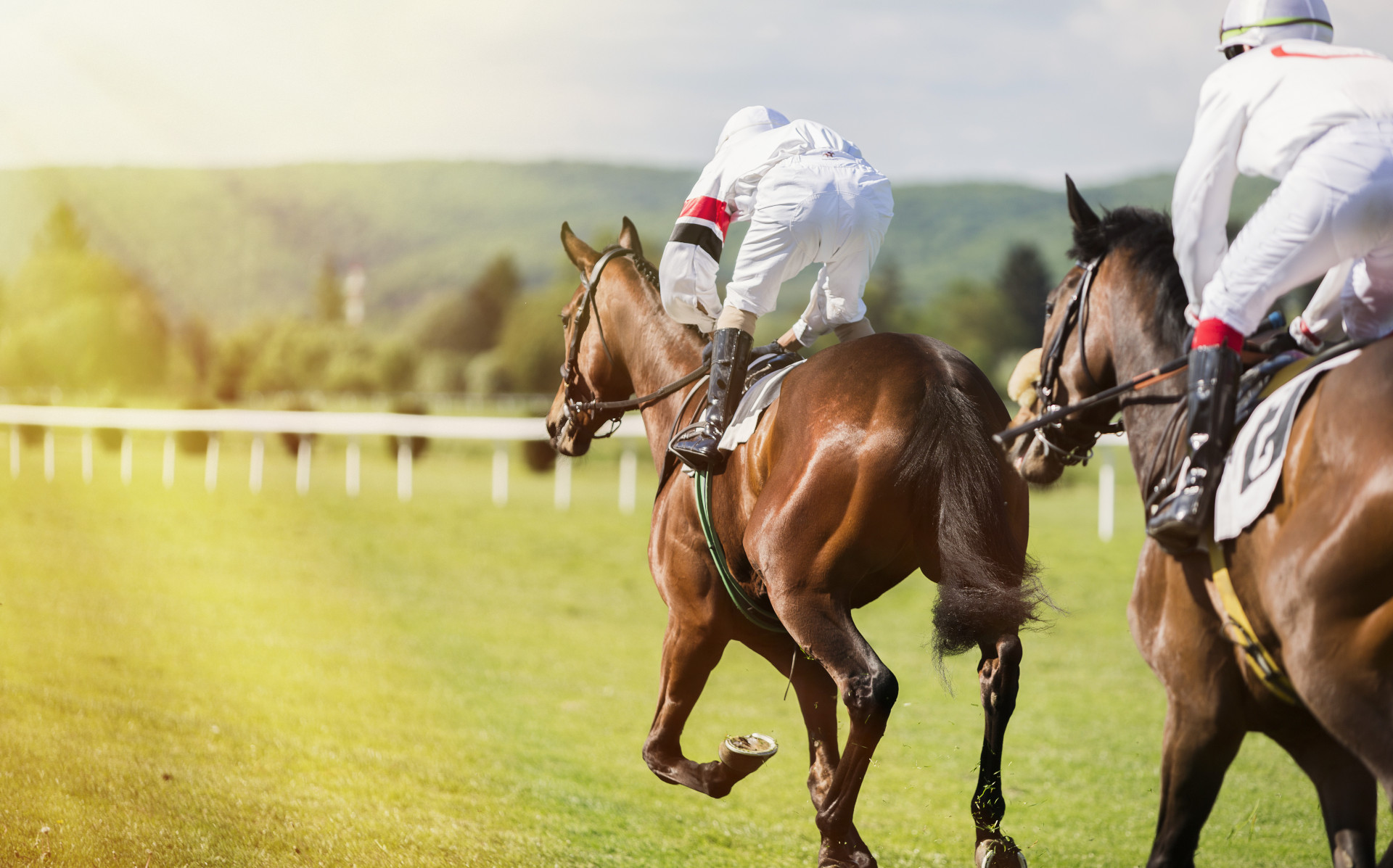 Horse racing
